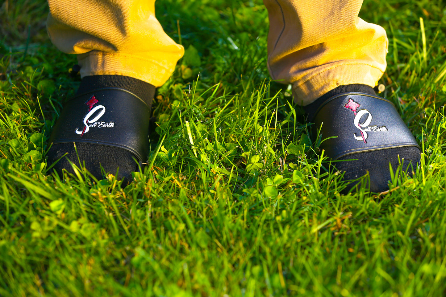 Salt Of The Earth "Slides"