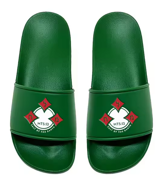 Salt of the Earth "Token" Slides