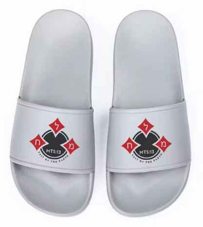 Salt of the Earth "Token" Slides